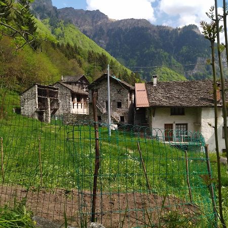 il fiume di fianco. appartamento alta valsesia Mollia Esterno foto