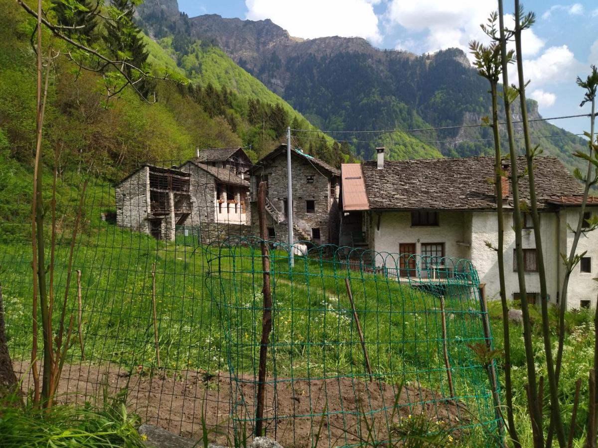 il fiume di fianco. appartamento alta valsesia Mollia Esterno foto